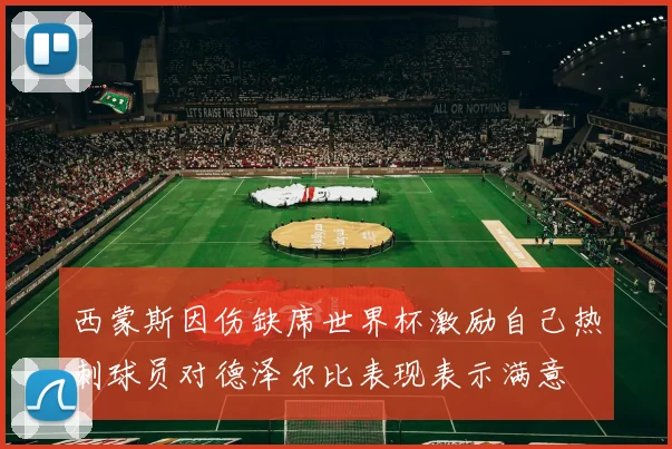 西蒙斯因伤缺席世界杯激励自己热刺球员对德泽尔比表现表示满意