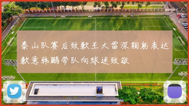 泰山队赛后致歉王大雷深鞠躬表达歉意韩鹏带队向球迷致敬